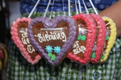 oktoberfest-2016-001
